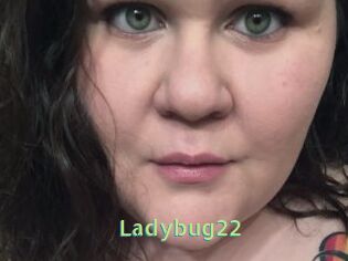 Ladybug22