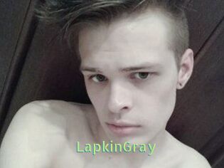 LapkinGray