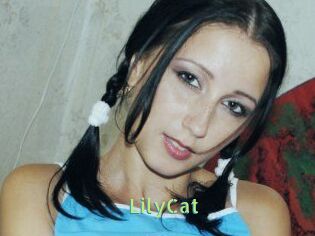 Lily_Cat_