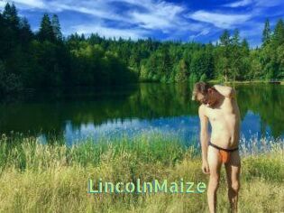 Lincoln_Maize