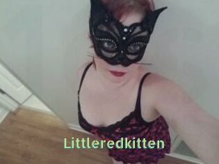 Littleredkitten