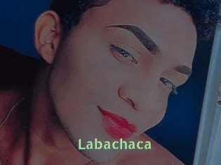 Labachaca