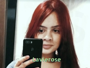 Lavierose