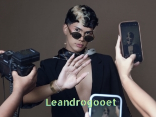 Leandrogooet