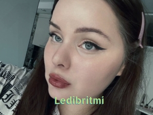 Ledibritmi