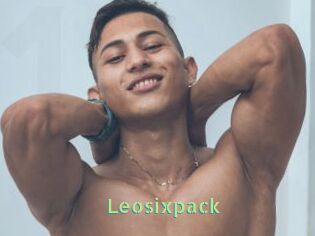 Leosixpack