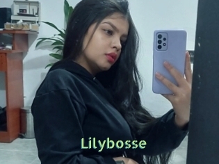 Lilybosse