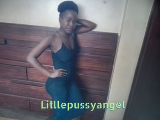 Litllepussyangel
