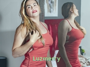 Luzmerry