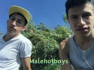 Malehotboys