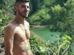 Marco_Tahani