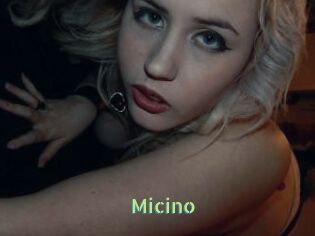 Micino