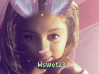 Mswet23