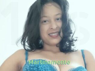 Martinamonto