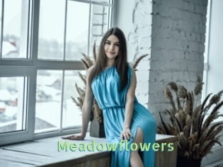 Meadowflowers