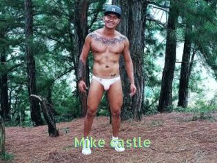 Mike_castle