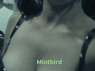 Mintbird