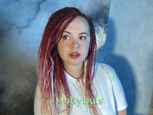 Mollybuls