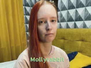 Mollyrabbit