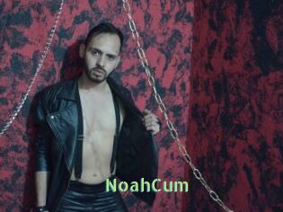 NoahCum