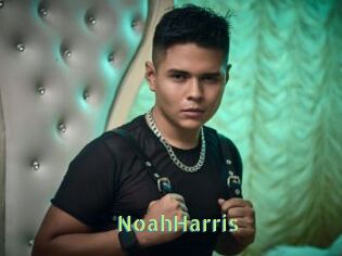 NoahHarris