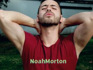 NoahMorton