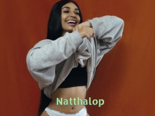 Natthalop