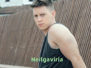 Neilgaviria