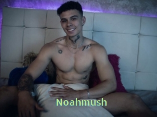 Noahmush