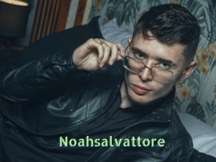 Noahsalvattore