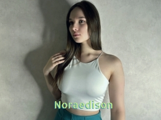 Noraedison