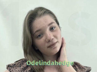 Odelindahedge