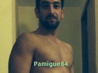 Pamigue84