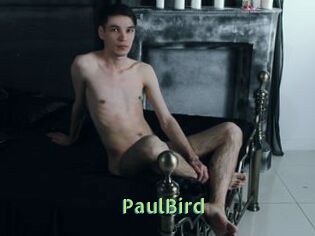 PaulBird