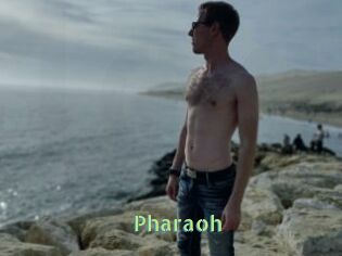 Pharaoh