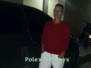 Polexcuteboyx