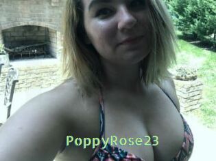 PoppyRose23