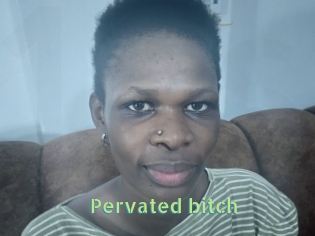 Pervated_bitch