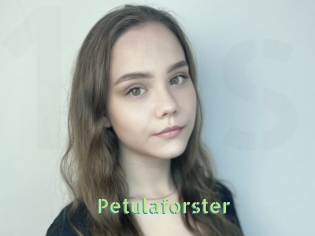 Petulaforster