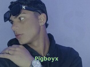 Pigboyx