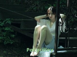 Pollycilley