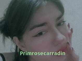 Primrosecarradin