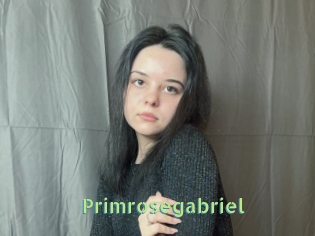 Primrosegabriel