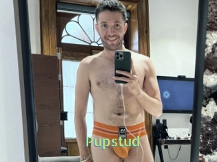Pupstud