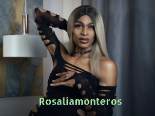 Rosaliamonteros