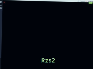 Rzs2