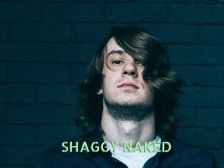 SHAGGY_NAKED