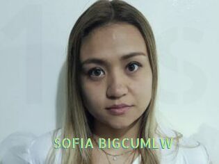 SOFIA_BIGCUMLW