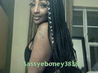 Sassyeboney3838