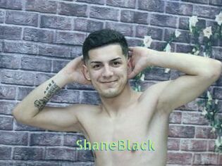 ShaneBlack